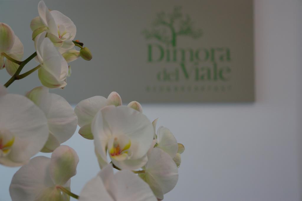 مبيت وإفطار أغريجنتو Dimora Del Viale المظهر الخارجي الصورة